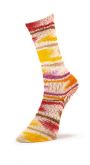 Summer Sock Fancy фото